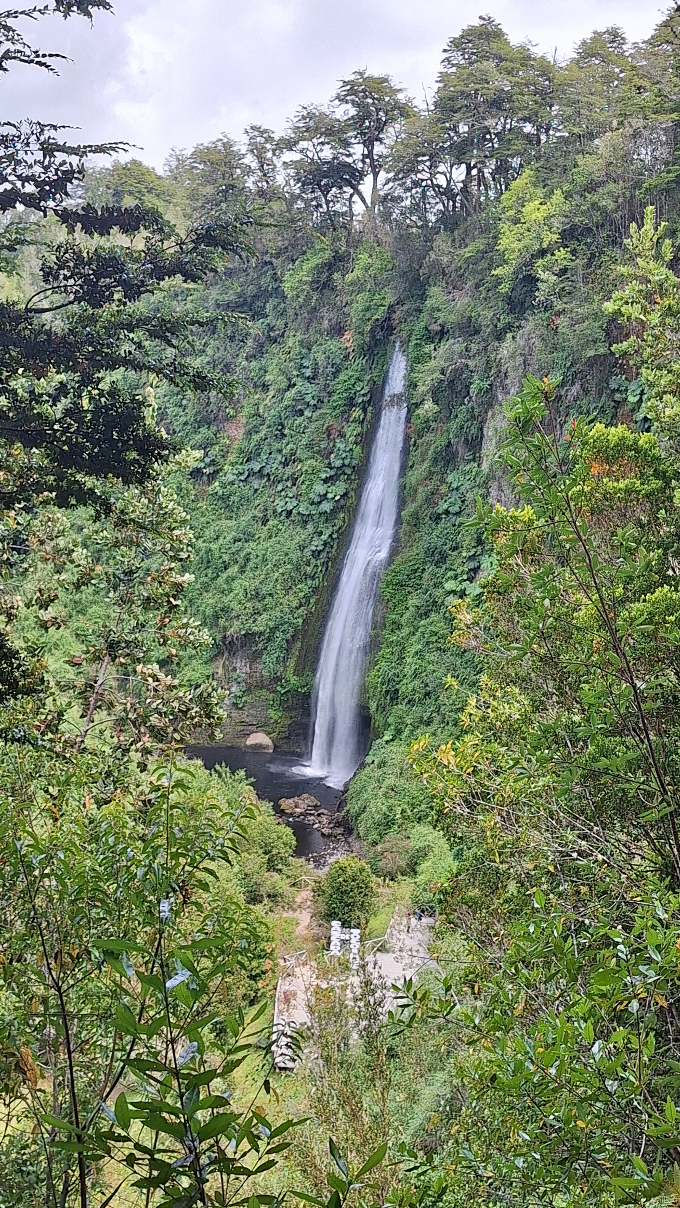 Vista general de la cascada principal entre niebla baja y bosque nativo