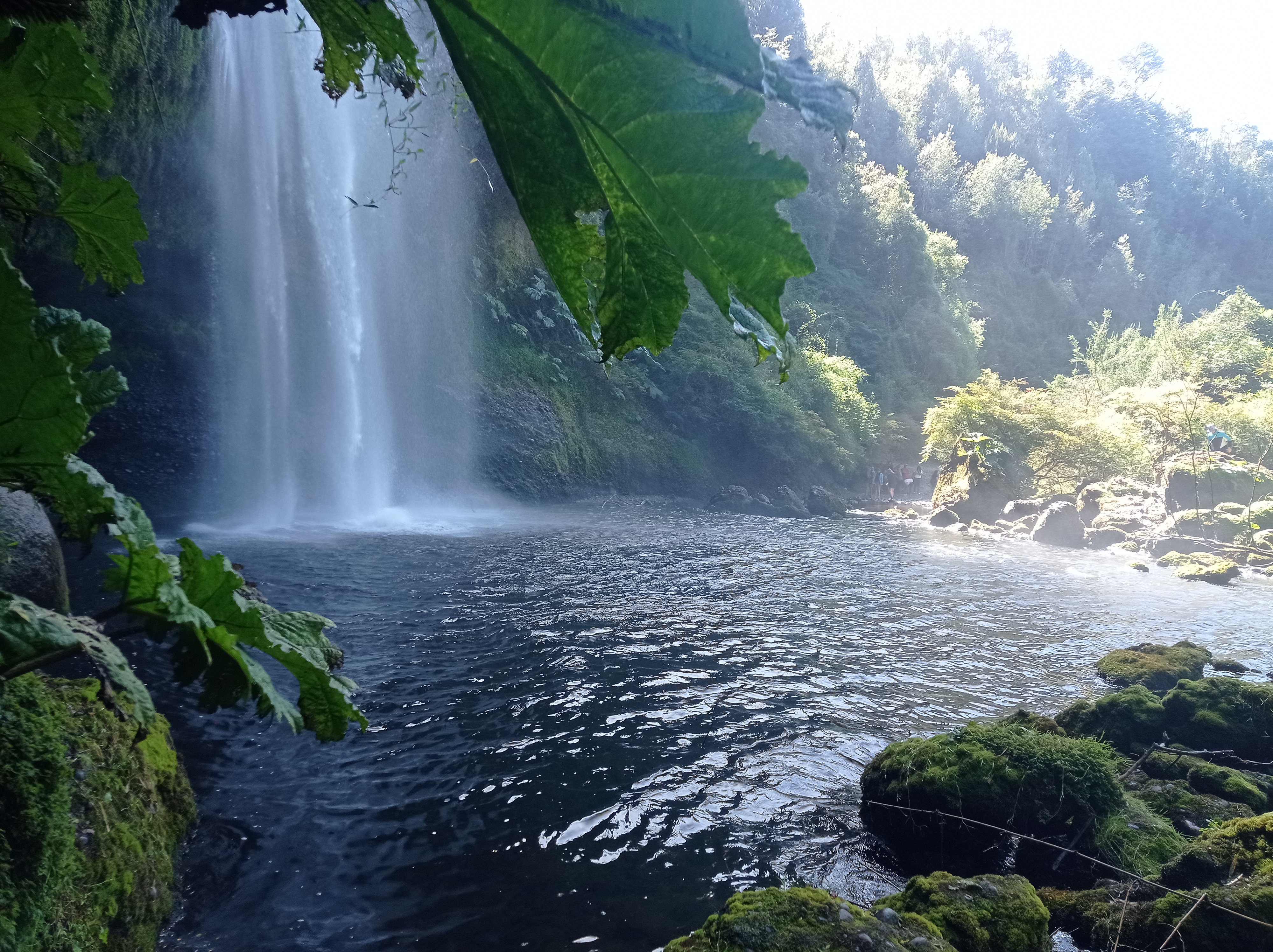 El salto asomando entre la vegetación desde un tramo del sendero